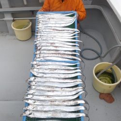 釣人家 釣果