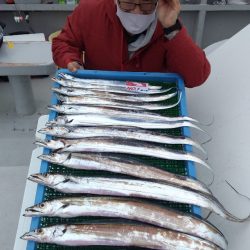 釣人家 釣果