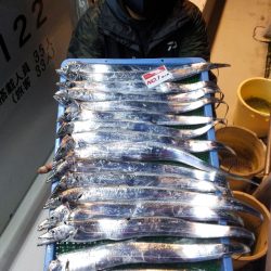 釣人家 釣果