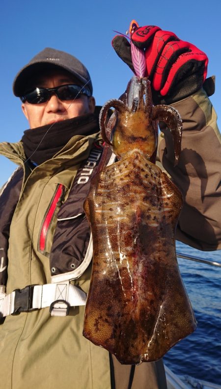 シースナイパー海龍 釣果