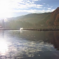 平谷湖フィッシングスポット 釣果