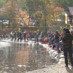 平谷湖フィッシングスポット 釣果