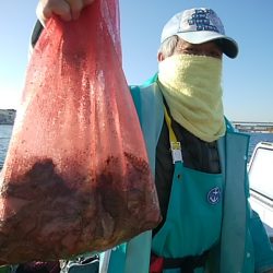 鴨下丸 釣果