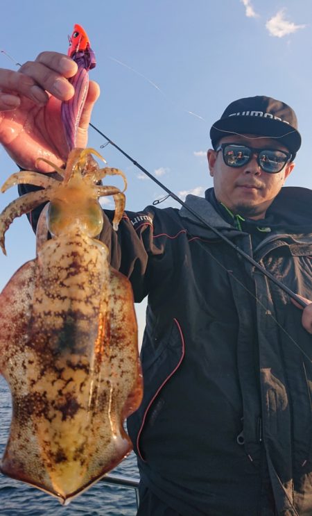 シースナイパー海龍 釣果