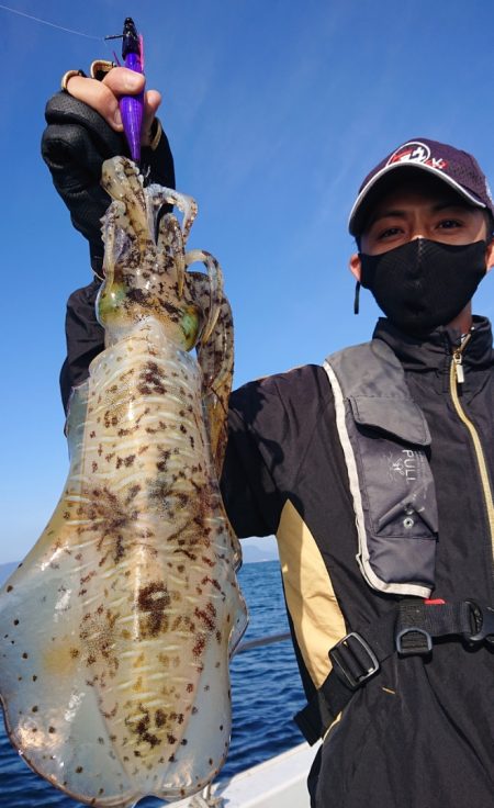 シースナイパー海龍 釣果