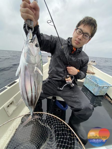 幕島丸 釣果