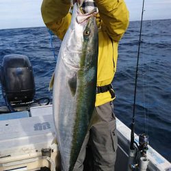 幕島丸 釣果