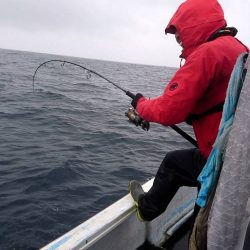 幕島丸 釣果