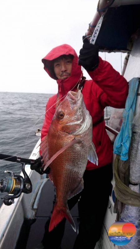 幕島丸 釣果