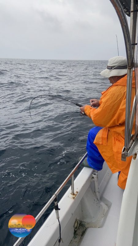 幕島丸 釣果