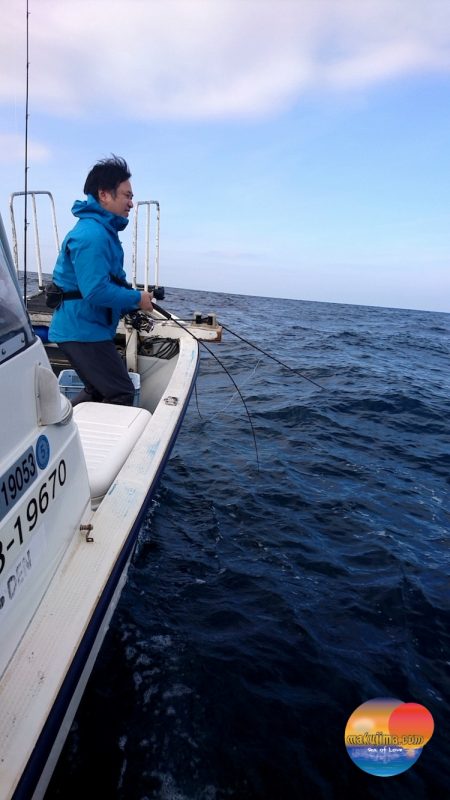 幕島丸 釣果