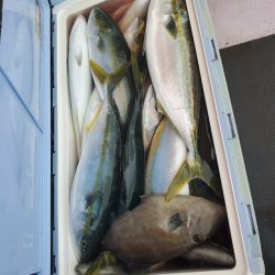 海龍丸（石川） 釣果