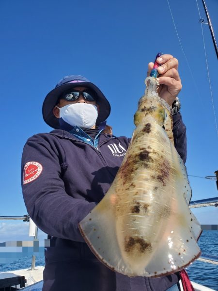 ソルトウォーターガイドフレンズ 釣果