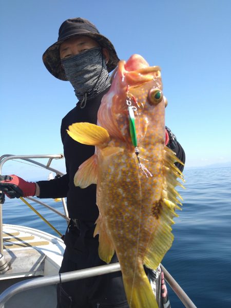 光生丸 釣果