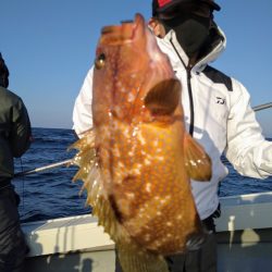 光生丸 釣果