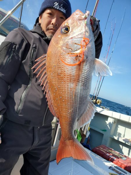 シーライオン 釣果