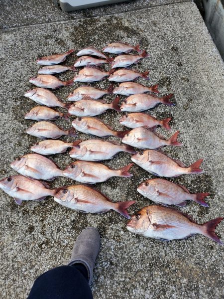 富士丸 釣果