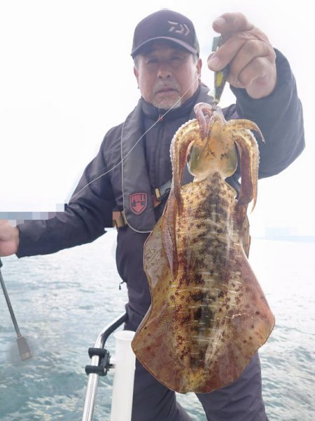 ソルトウォーターガイドフレンズ 釣果