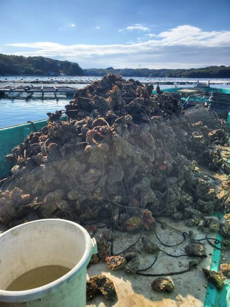 一華丸 釣果