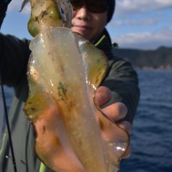 渡船屋たにぐち 釣果