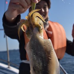 渡船屋たにぐち 釣果