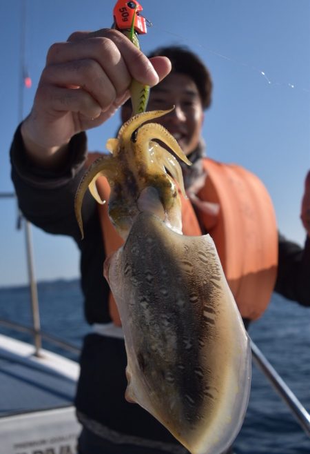 渡船屋たにぐち 釣果