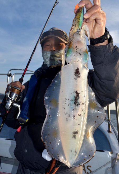 渡船屋たにぐち 釣果