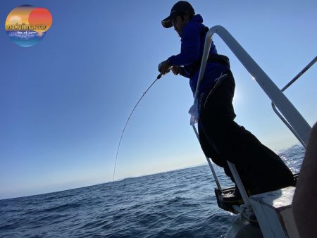 幕島丸 釣果