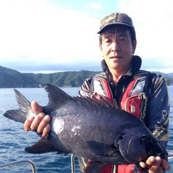 渡船屋たにぐち 釣果