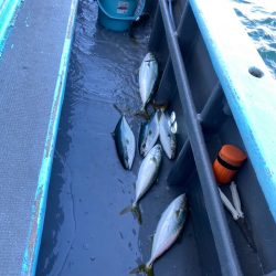 みやけ丸 釣果