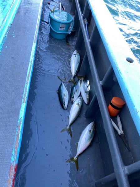 みやけ丸 釣果