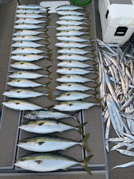 SeaRide(シーライド) 釣果