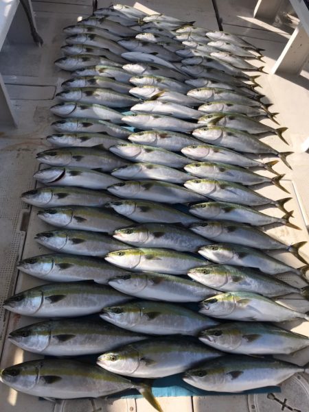 大雄丸 釣果