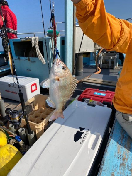 みやけ丸 釣果