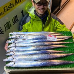 釣人家 釣果