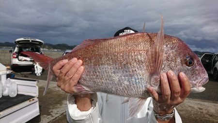 第三共栄丸 釣果