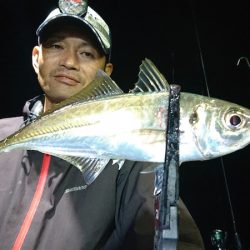 シースナイパー海龍 釣果