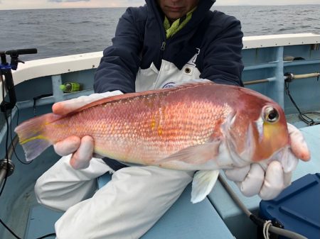 第二八坂丸 釣果