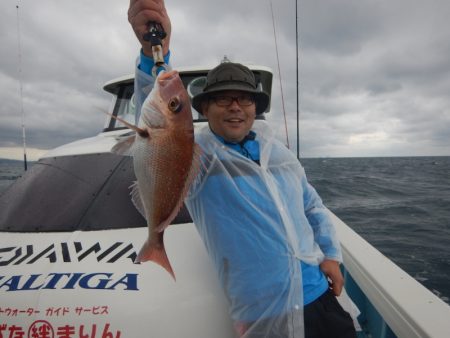 きずなまりん 釣果