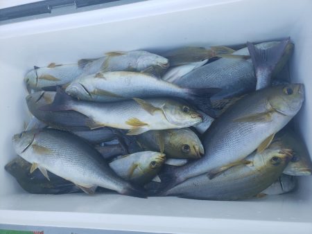 丸万釣船 釣果