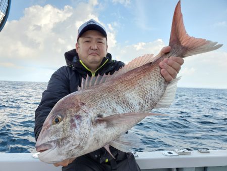 シーライオン 釣果