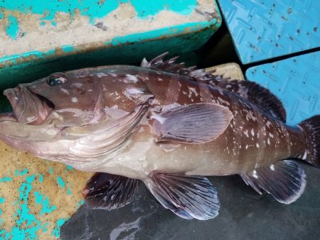 進誠丸 釣果