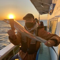 ヤザワ渡船 釣果