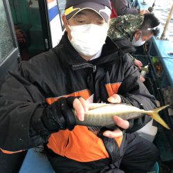 ヤザワ渡船 釣果