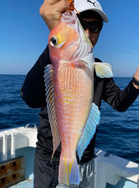 あみや渡船 JIGBOY 釣果