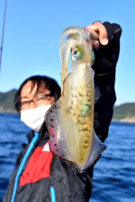 渡船屋たにぐち 釣果