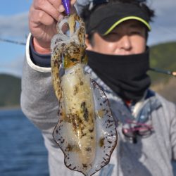 渡船屋たにぐち 釣果