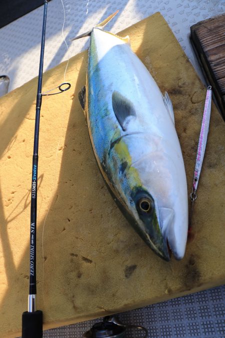 浜栄丸 釣果