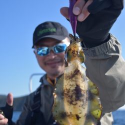 渡船屋たにぐち 釣果