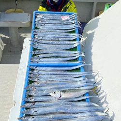 釣人家 釣果